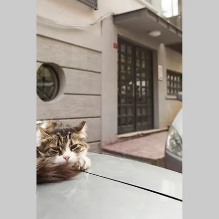 Your Colorful, Stylish & New Penthouse W Terrace